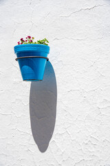 multicolored pots of flowers hanging on walls of a typical village