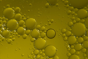 Yellow circles