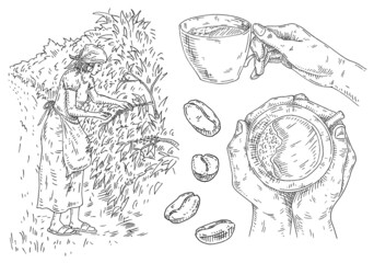Set coffee. Glass latte, hand hold cup. Branch with beans