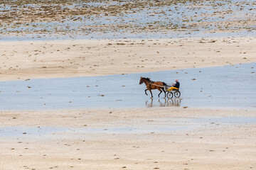 Fototapeta na wymiar Beautiful beach at Agon-Coutainville in Normandy, with a horse and a rider 
