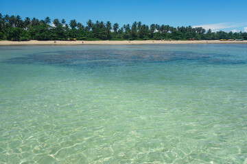 beautiful natural pools with crystal clear water at low tide in Morro de Sao Paulo beach, Bahia, Brazil