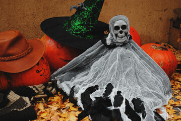 halloween pumpkin and skull