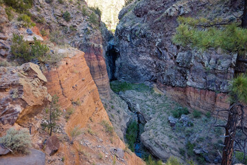 Trail in Mountains, New Mexico