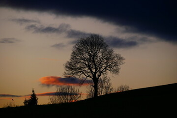 Abendstimmung im Allgäu.