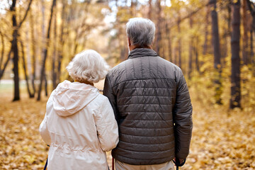 Rear view on senior man and adult woman enjoying walk in autumn park. Active elderly couple, happy people walking in park, view from back. active healthy lifestyle, retired people outdoors