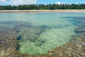 beautiful natural pools with crystal clear water at low tide in Morro de Sao Paulo beach, Bahia,...