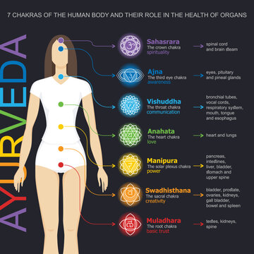 Chakras system with glands. Yogi woman. Vector flat style drawing Sahasrara, Ajna, Vishuddha, Anahata, Manipura, Svadhisthana, Muladhara with text about his glands. Ayurveda, Hinduism, Reiki, Yoga 
