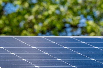 Solar panels with green leaves in the background