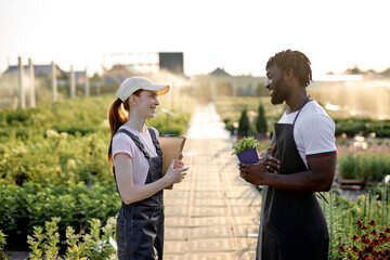 Couple of excited workers working together supervising the growing of plants in modern outdoor greenhouse of plants production, black man and caucasian redhead female in uniform talking, laughing. - Powered by Adobe