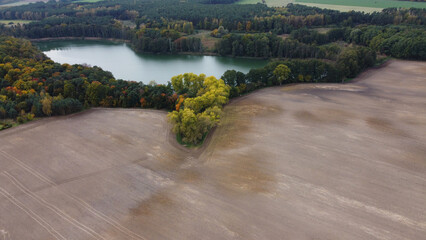 lake in the forest. Polska, Lubuskie, Lubogora