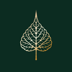 Hand drawn leaf of bodhi