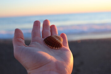 hand on the beach