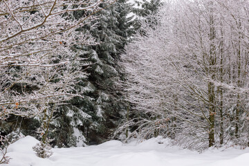 La neige &agrave; la montagne