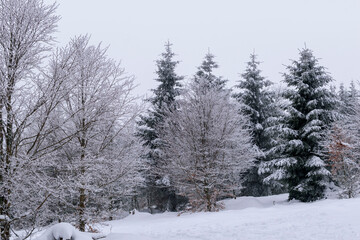 La neige à la montagne