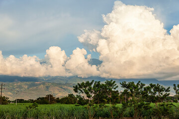 Valle del Cauca, Colombia