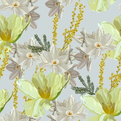 Flowers of Spring mimosa, daffodils and tulips on a white background. Seamless pattern.  Suitable for packaging, Wallpaper, fabric. - 483485411