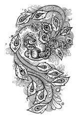 Peacock coloring page. Black and white doodle for coloring book on white background
