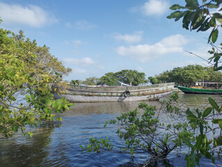 bridge in the park