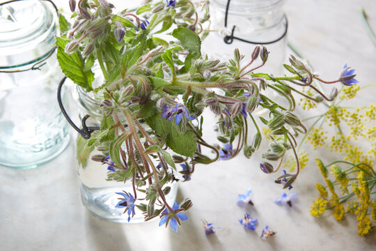 20170115_edible_flowers_1.jpg