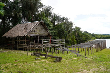 Simple wooden huts covered with palm leaves in a small settlement in the Amazon rainforest. Construction of a footbridge, because water levels here fluctuate by up to 8m during  year. Amazonas, Brazil