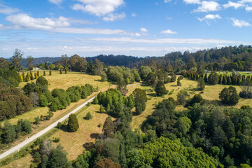 Fototapeta na wymiar Aerial view of trees and grass at Rj Hamer Arboretum in Melbourne, Australia
