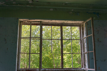 The window is old from which you can see the forest and trees. Old apartment. Windows without glass.