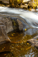 stream in the forest