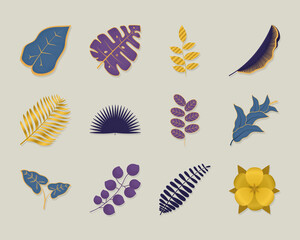 elegant leaves icon collection