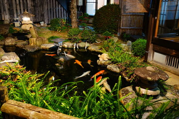 日本庭園 錦鯉 池
