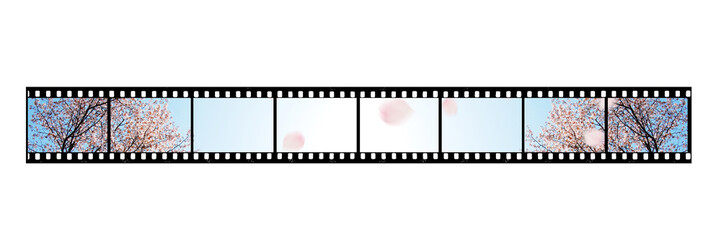 3５ミリフィルムのフレーム

