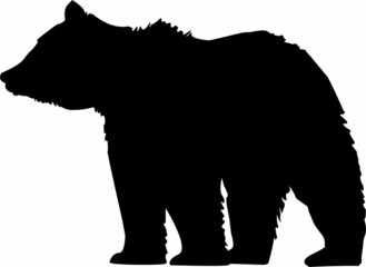 Plakat Bear Vector Graphics Collection Beasts