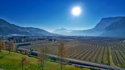 Naklejka premium Winnica w górach 