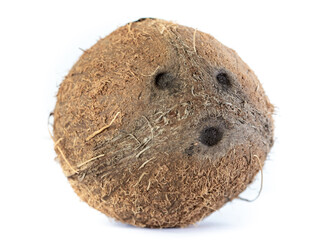 confused coconut on white