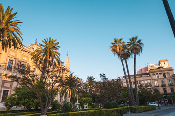 Fototapeta premium Palmen vor der gothischen Kathedrale von Sevilla und blauem Himmel | Sevilla, Spanien