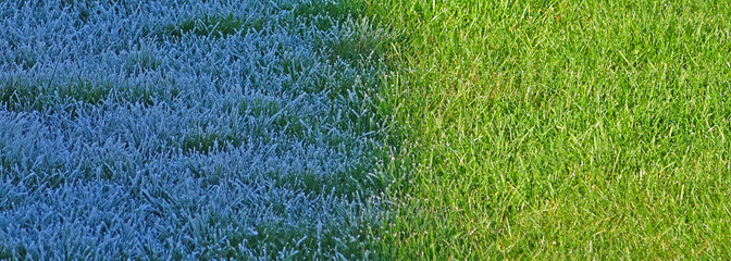 Frost Patterns  - The morning sun has defined a line between the frosted and thawed grasses on this lawn