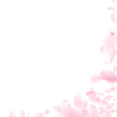 Fototapeta premium Sakura petals falling down. Romantic pink flowers corner. Flying petals on white square background. Love, romance concept. Resplendent wedding invitation.
