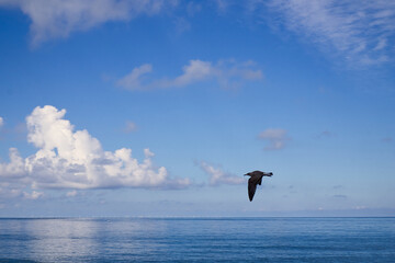 Helgoland