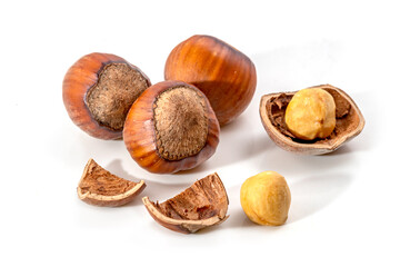 Hazelnuts in the shell. Round filbert, ripe fruit of a Corylus avellana hazel shrubs.