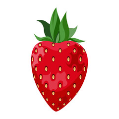 Ripe strawberry isolated on white background. Vector illustration.