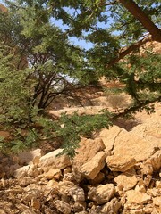 Obraz premium Heet Cave, Riyadh, Saudi Arabia