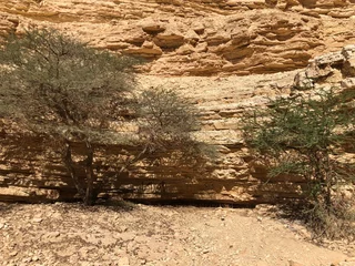 Fotobehang Heet Cave, Riyadh, Saudi Arabia © ab