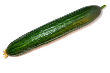 Smooth medium cucumber. Cucumber on a white background. Vegetable isolate. Fresh ripe vegetable. cucumber flower