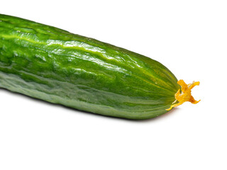 Smooth medium cucumber. Cucumber on a white background. Vegetable isolate. Fresh ripe vegetable  . cucumber flower