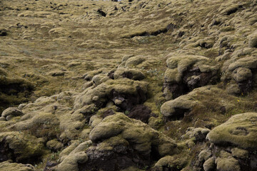 Green Grassy mountain Landscape in the highlands. Travel and nature on a beautiful cold day