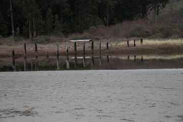 Fototapeta premium beach and old pilings