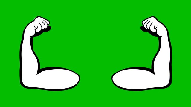 Loop animation of arms flexing and contracting the biceps, on a green chroma key background