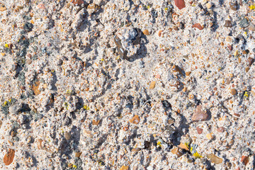 Concrete wall, uneven texture with small stone.