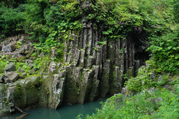 Natural Basalt Columns with Greenery