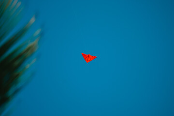 cometa para hacer volar © Grover