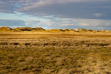 Fototapeta na wymiar Amazing landscape at the Wadden Sea in St Peter Ording Germany - travel photography